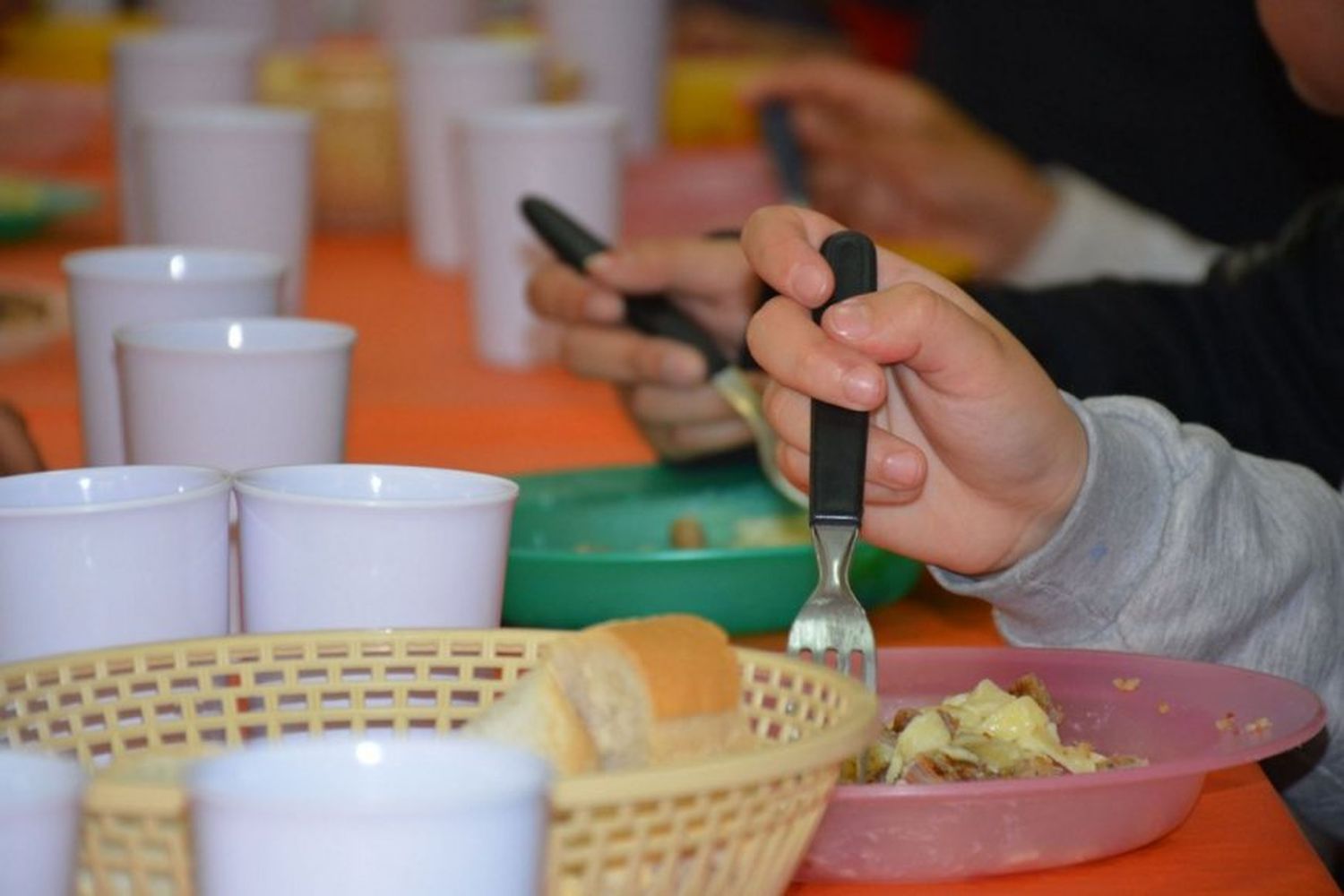 Alrededor del 60% del alumnado entrerriano accede a una prestación alimentaria en las escuelas