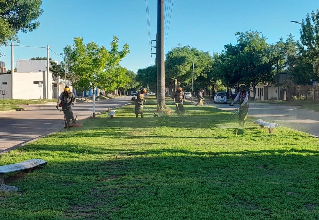 Se realizan tareas de desmalezado en distintos sectores de la ciudad