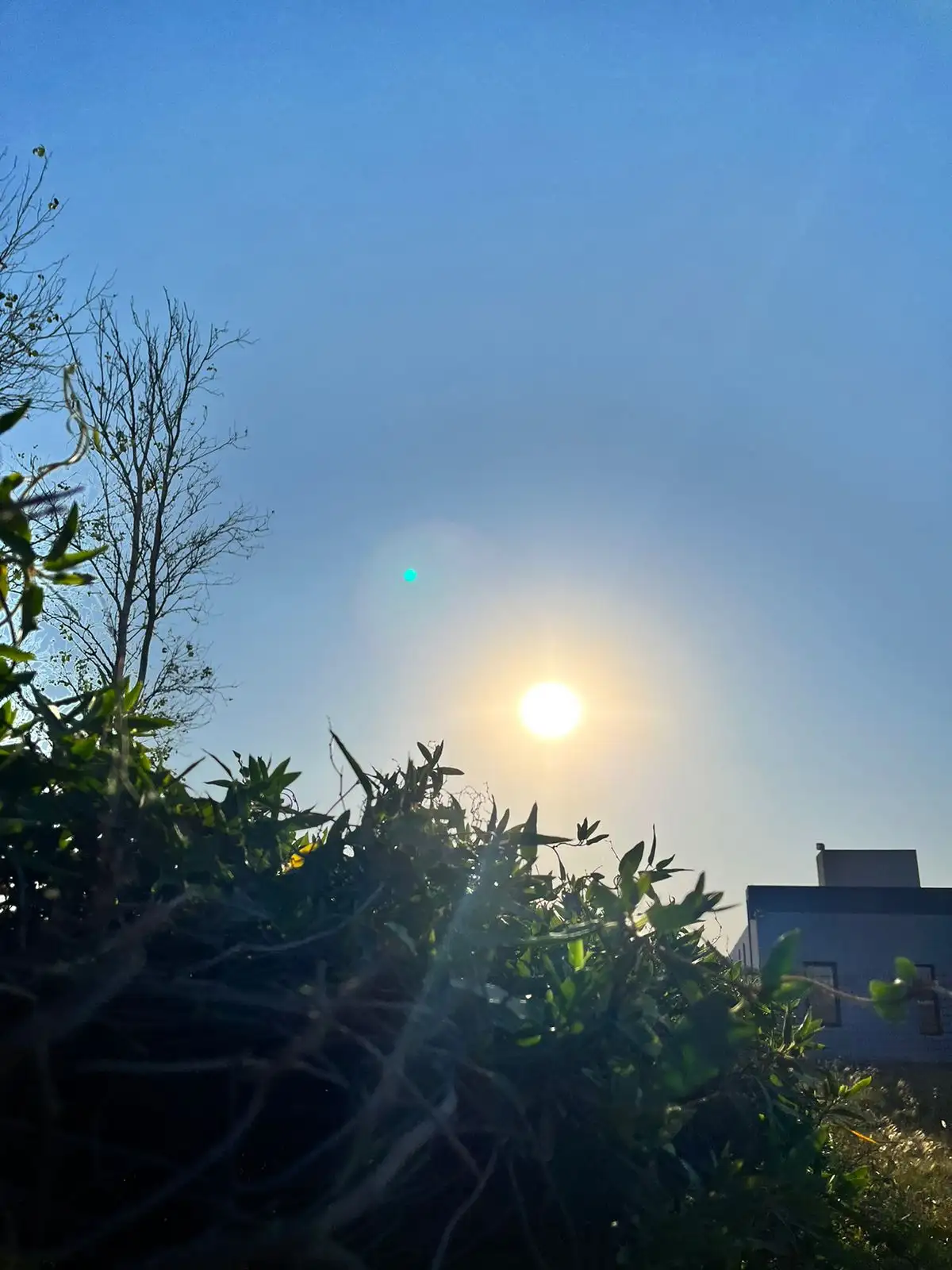 Domingo a pleno sol en San Francisco: la máxima llegará a los 30 °C