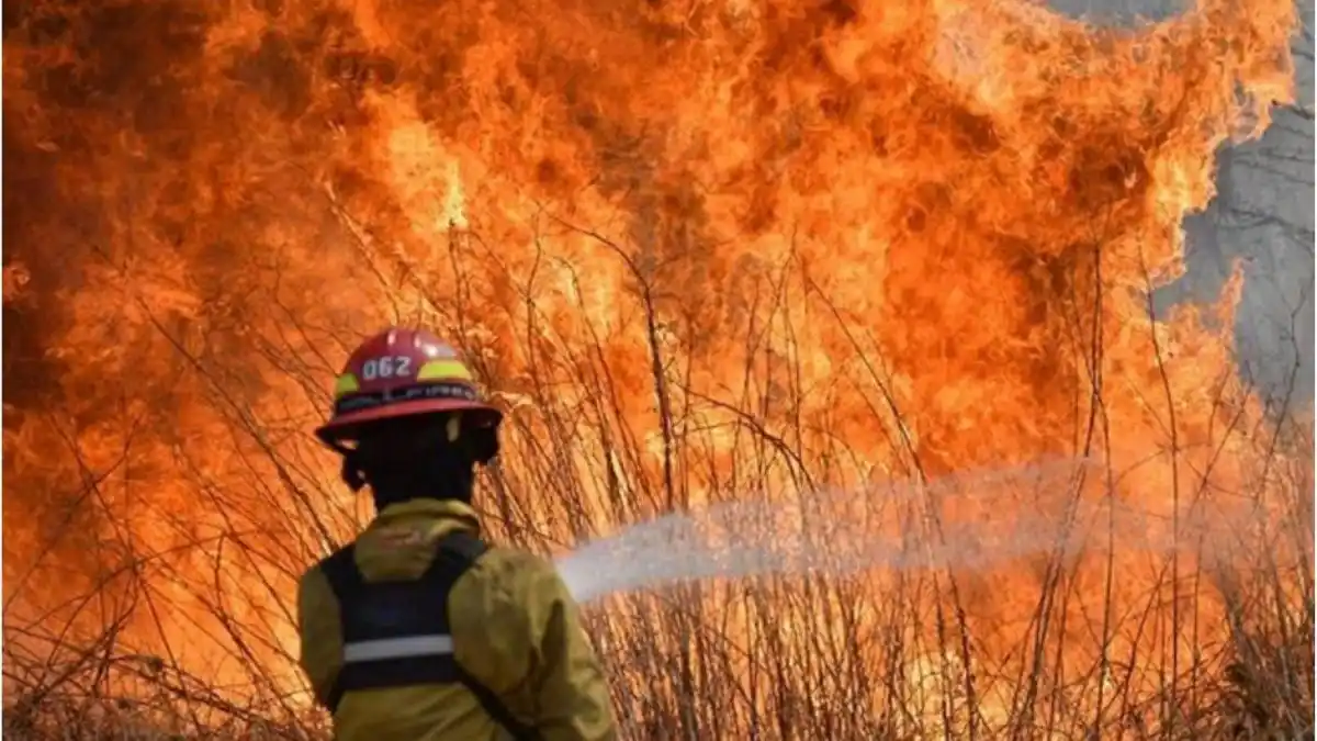 El Gobernador de Corrientes declara el estado de catástrofe ambiental y ecológica