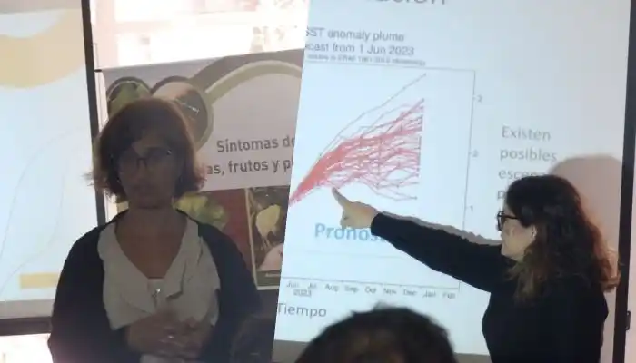 Control de heladas en frutales: presentaron una nueva herramienta para productores