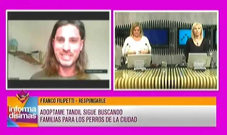 "Adoptame Tandil" sigue buscando familias para los perros de la ciudad