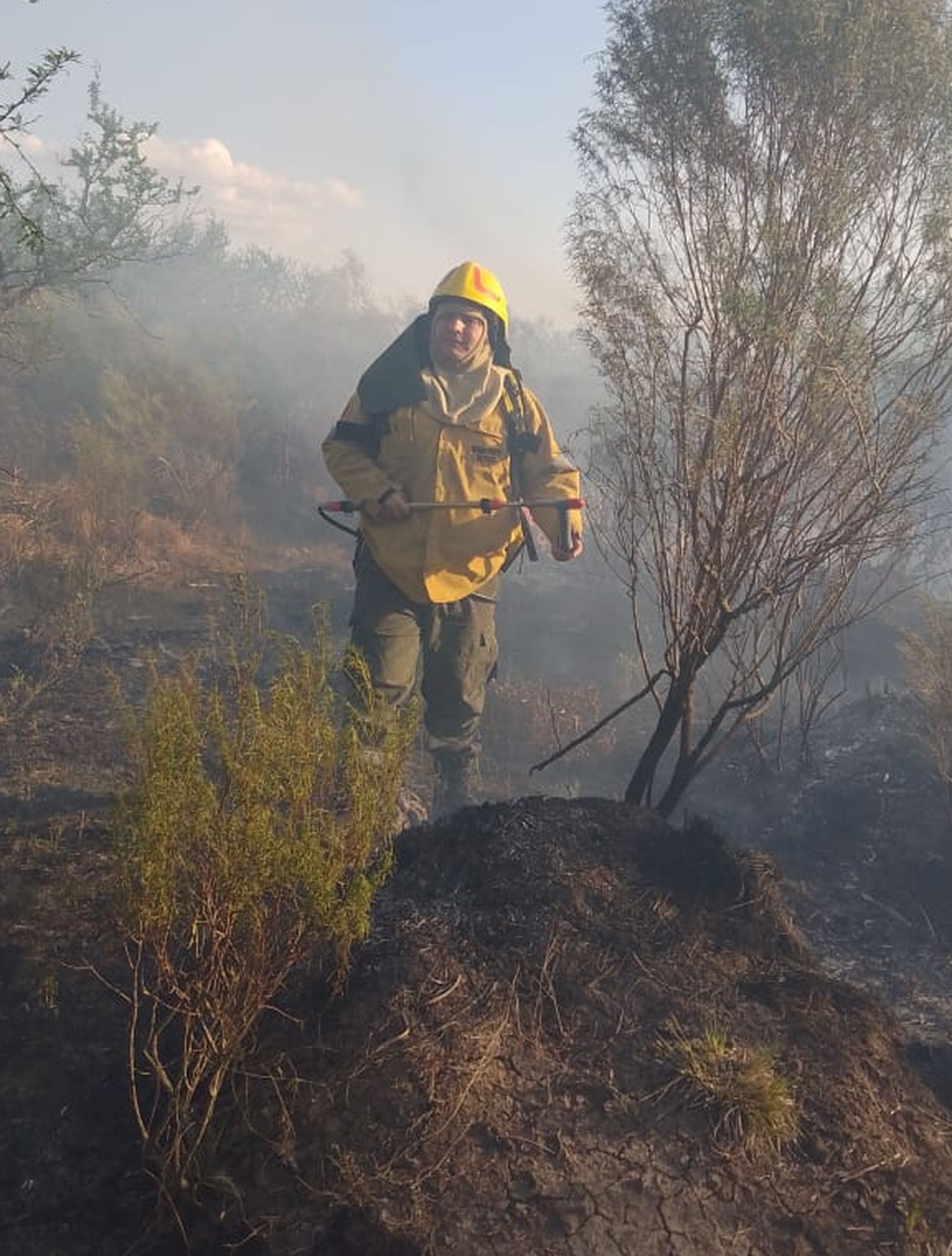 Bomberos Voluntarios trabajó en el incendio de un monte en El Redomón