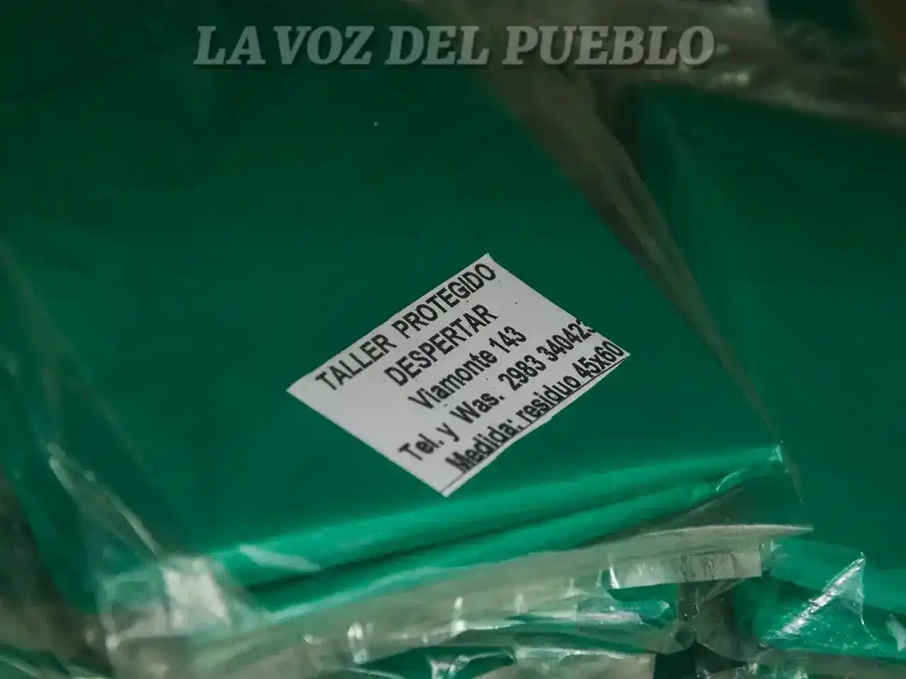 Miniatura de imagen 7