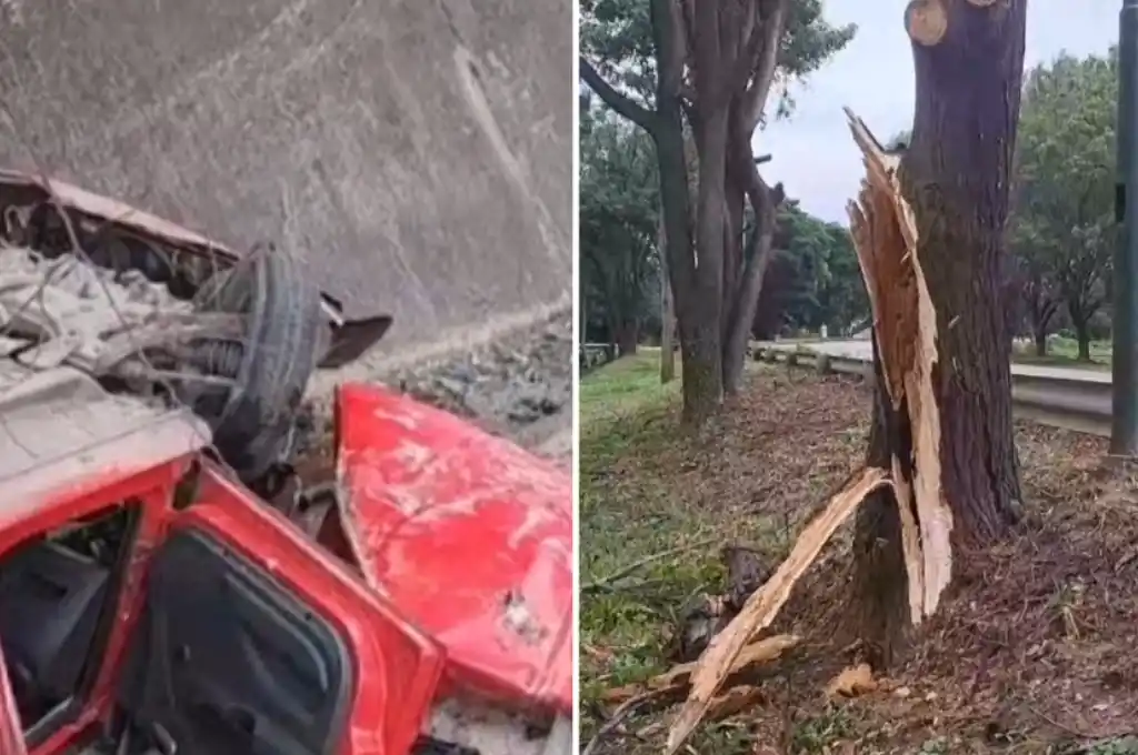 salta accidente