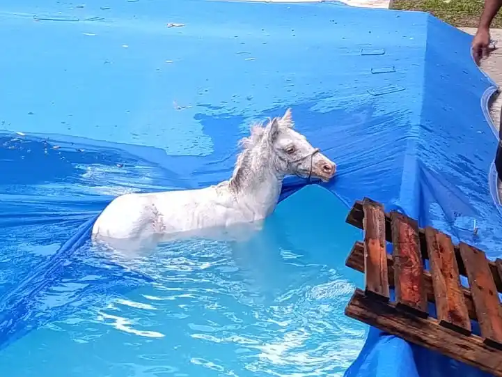 El equipo pudo ser rescatado tras una importante operativo bomberil.