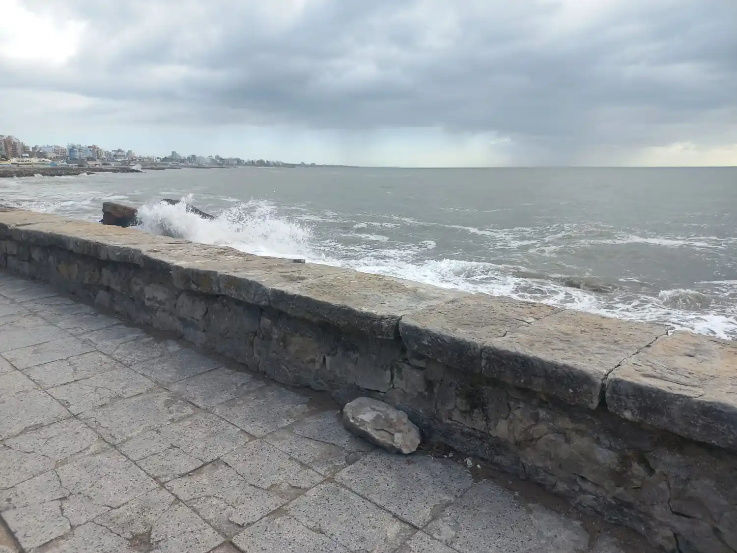 Costanera marplatense.