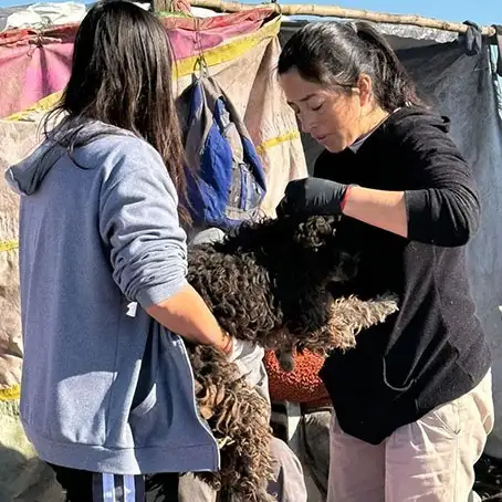 “Seamos Manada”: un trabajo silencioso que rescata animales y protege a la comunidad