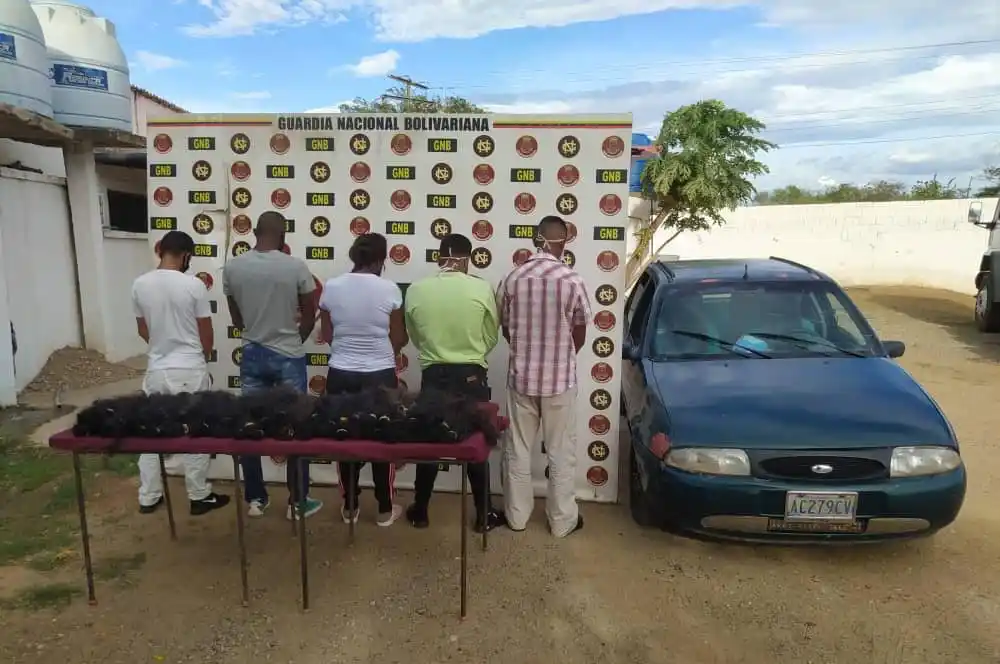 Detienen a traficantes de cabello en Anzoátegui