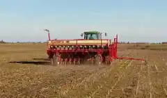 Trigo: las lluvias repusieron la humedad superficial necesaria para avanzar con la siembra