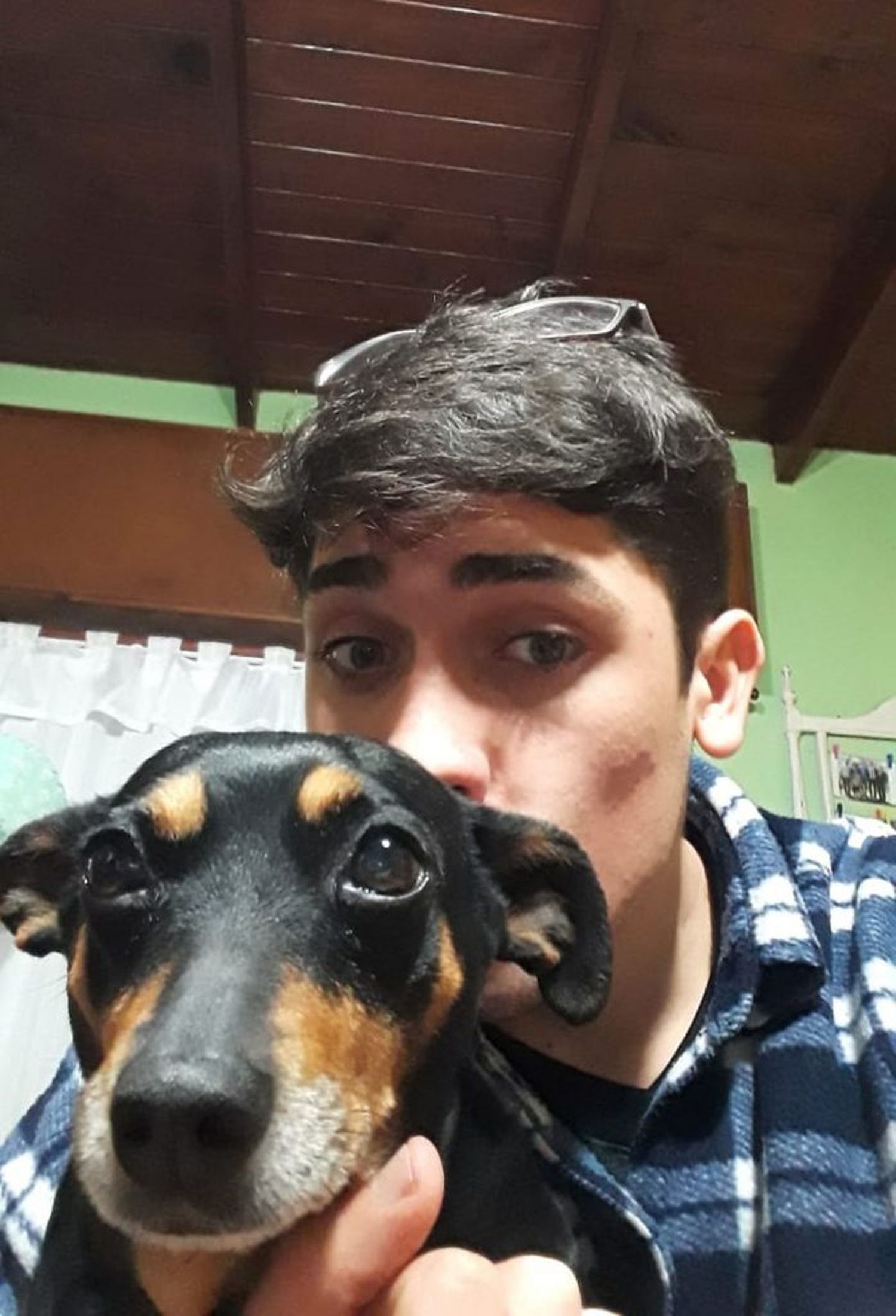 Una familia manifestó su dolor porque un perro callejero mató a su mascota en la Plaza