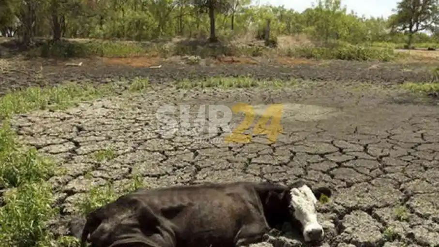 El sur de Santa Fe y gran parte del centro de Argentina atraviesan la mayor sequía en más de 30 años  