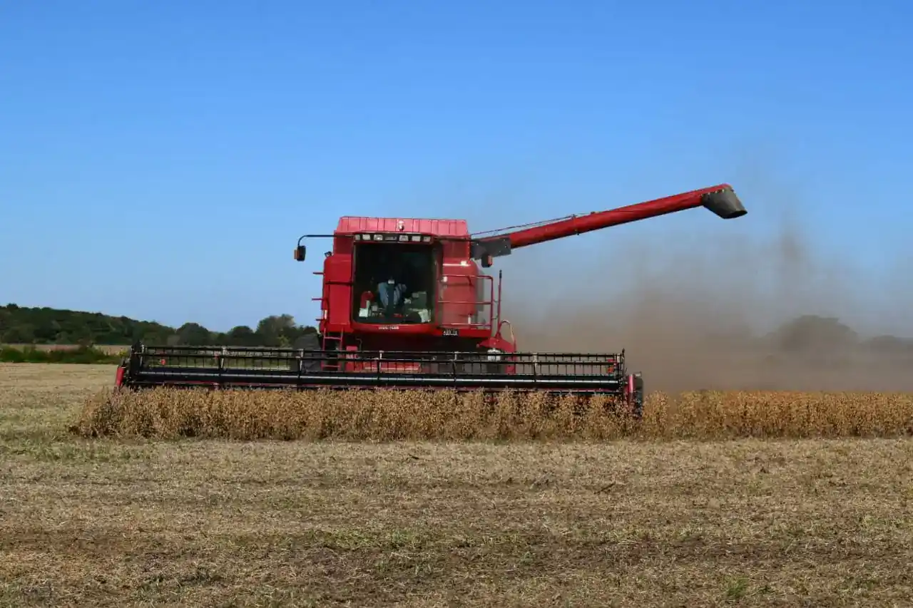 El ingreso neto de dólares del sector oleaginosos y cereales cayó US$ 11.993 millones (53%) durante los primeros siete meses del año.
