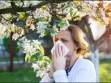 Alergia primaveral: 5 tips clave para reducir el polen