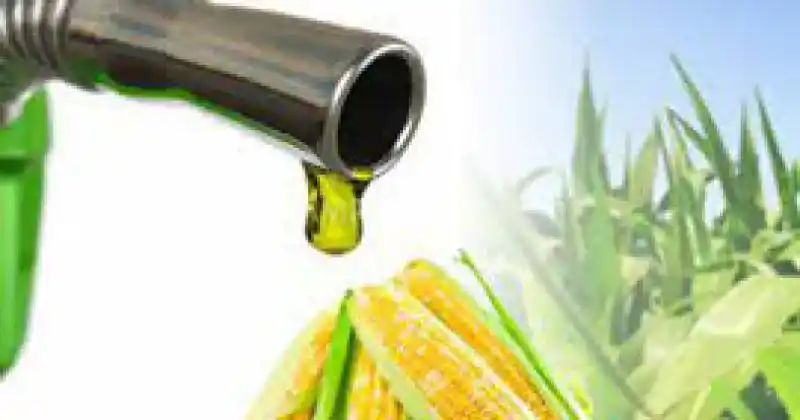 La Provincia de Córdoba es la mayor productora del alcohol realizado sobre la base de maíz.