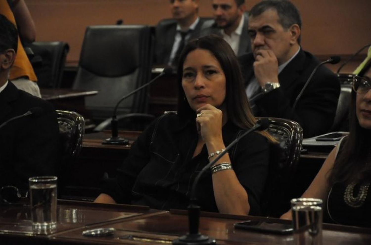 Se aprobó un Proyecto de autoría de la Diputada Rubattino