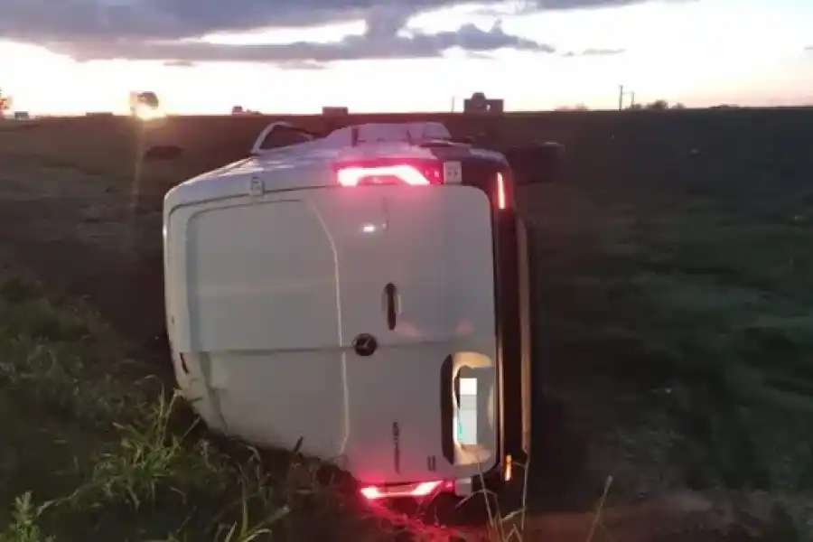 Insólito: chocó a una vaca que se le cruzó en la autopista y el animal terminó faenado