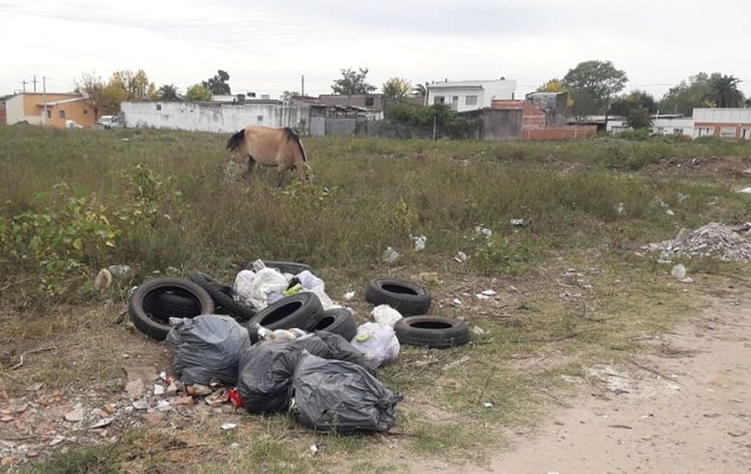 El terreno ubicado en Rodó y San José se transformó en un basural