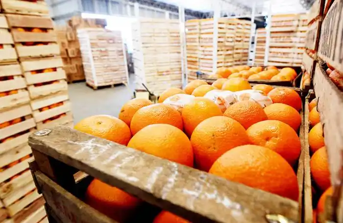 Entre Ríos pide regionalizar las exportaciones de cítricos a  Europa
