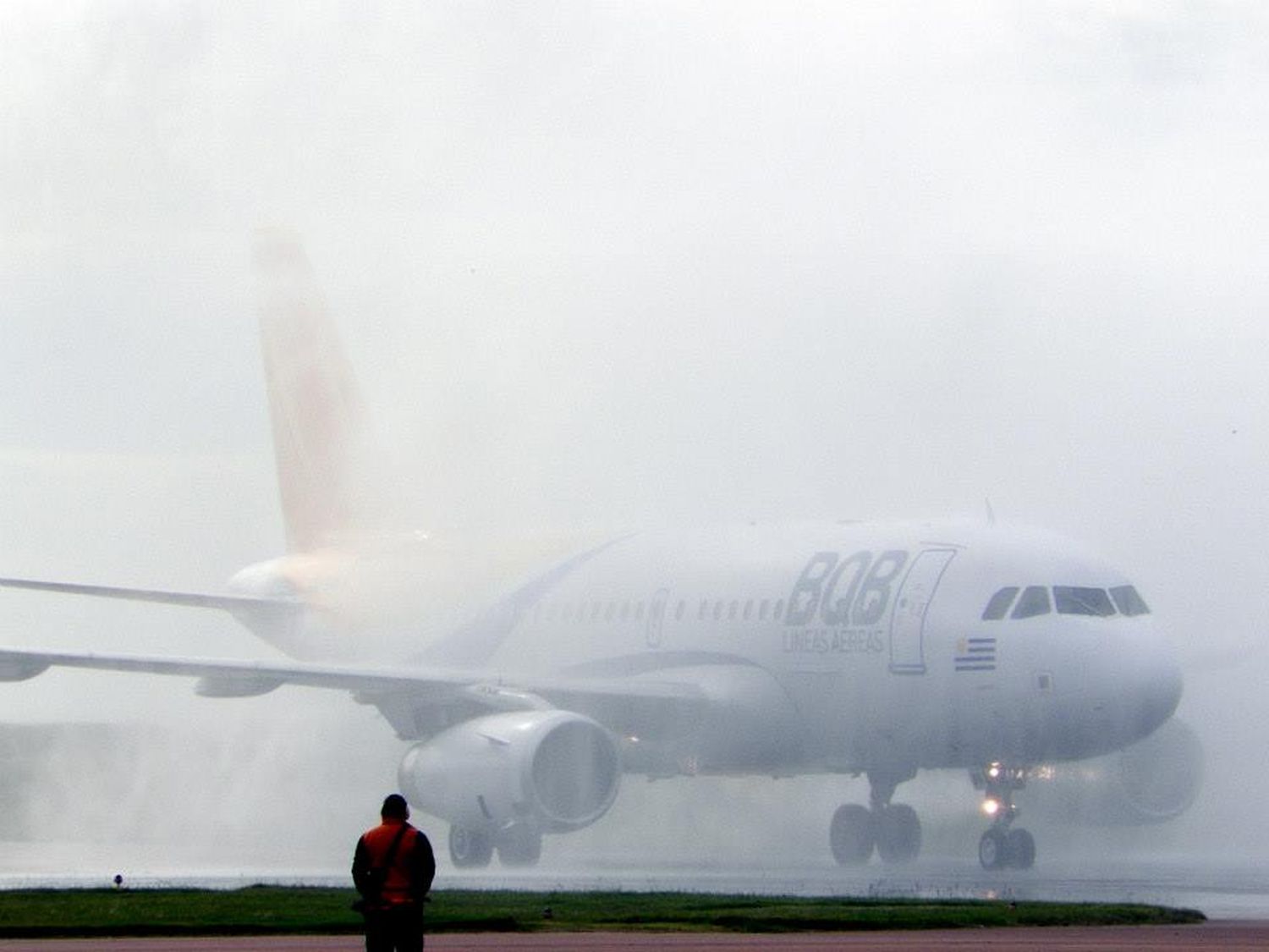 [Fotogalería] BQB Líneas Aéreas recibió su primer Airbus A319