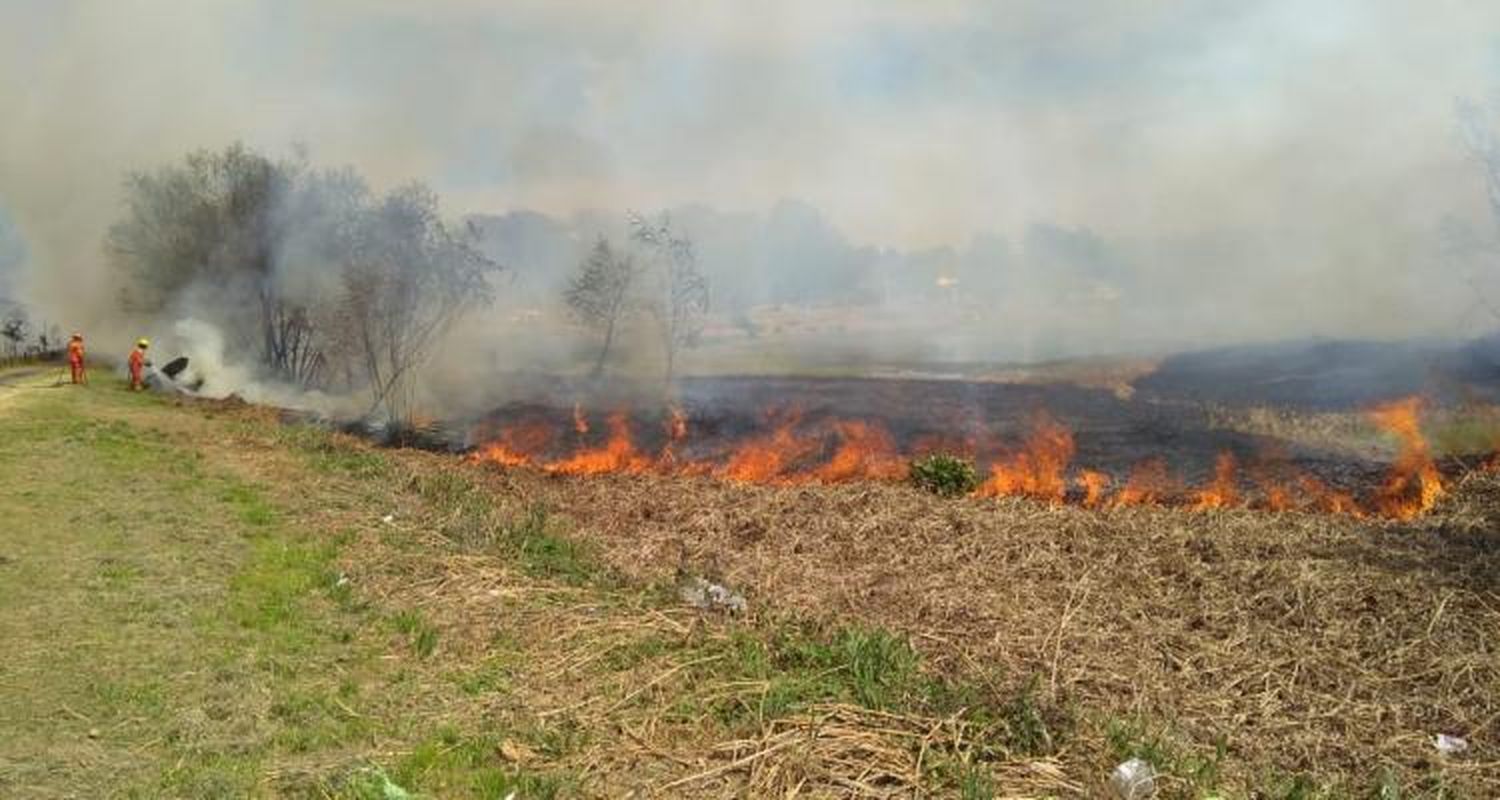 Incendio en el Paseo Público: “Es muy difícil apagarlo, estamos controlando”, dijo el Bombero a cargo