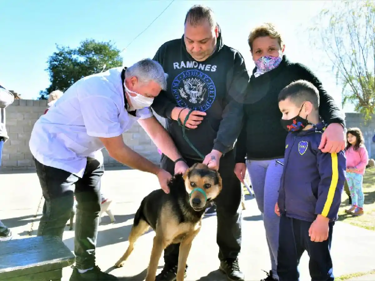 Continúa la campaña de vacunación antirrábica 