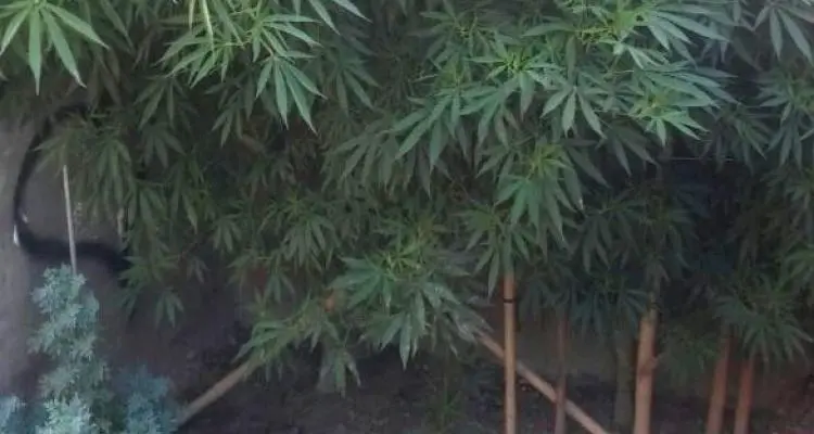 Detuvieron a una persona que había robado en una vivienda