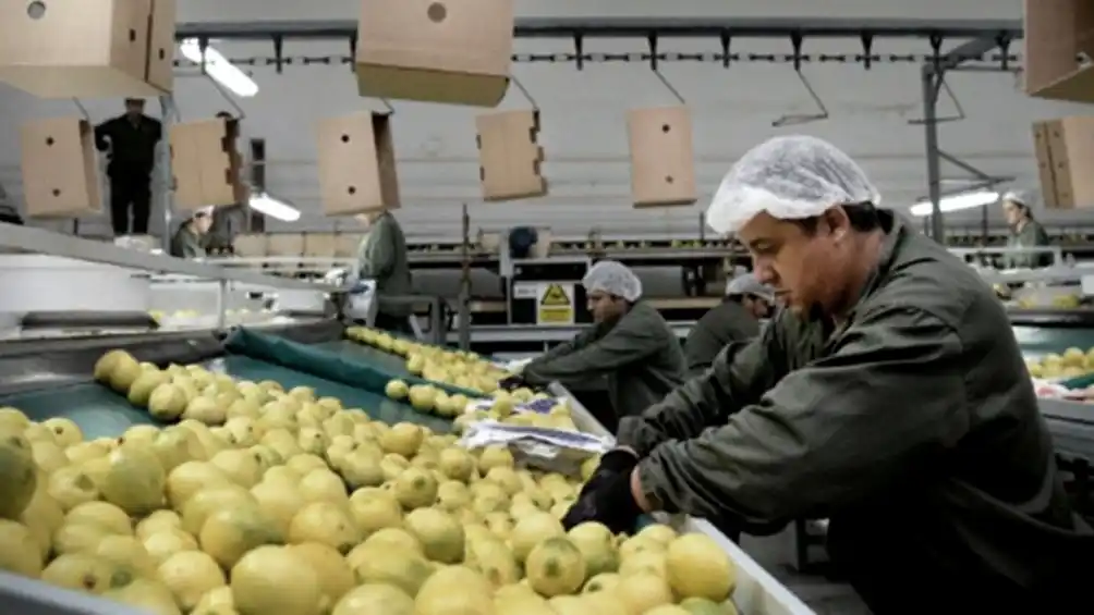 Cítricos, maní, avícolas y pesca piden no estar comprendidos en la suba de retenciones