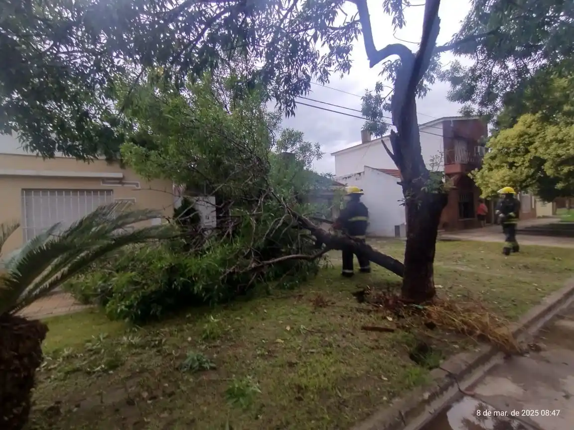 Crédito: Bomberos de Venado Tuerto.