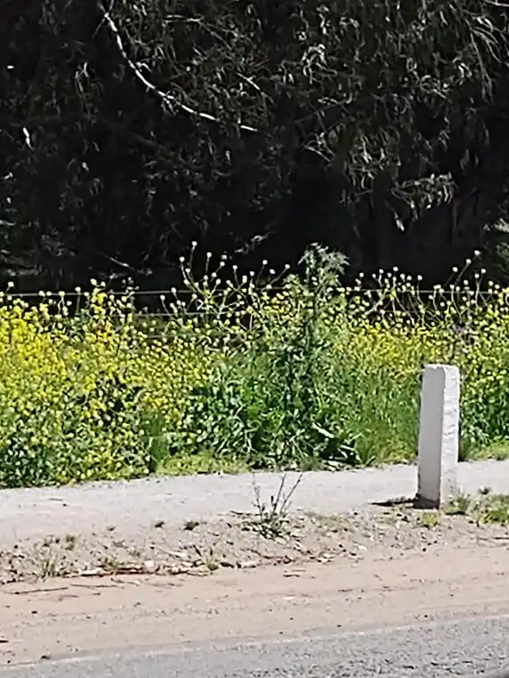 Ante los reclamos, desde el Municipio aclararon que la prioridad de mantenimiento la tienen las plazas y los paseos