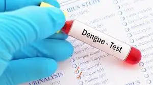 Santa Fe: hay 368 casos confirmados de dengue, la mayoría autóctonos