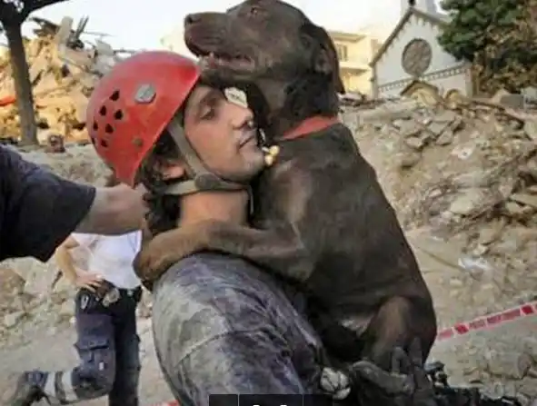 “Podemos juzgar el corazón de una persona por la forma en que trata a los animales.”  I. Kant

