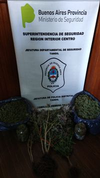 Allanaron domicilios por un robo y encontraron más de tres kilos de marihuana