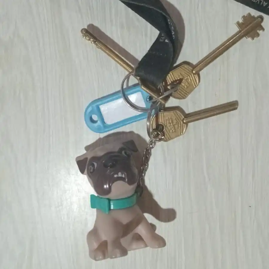 Hallaron llavero en la calle