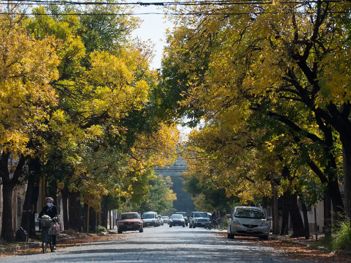  Nada otoñal: sigue el "calorcito" 