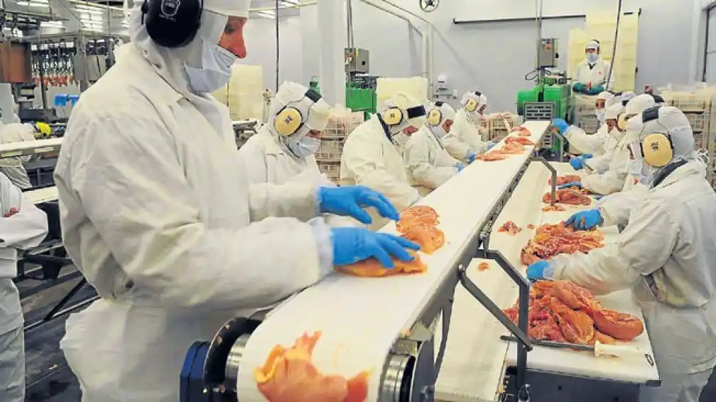 Anunciaron créditos por $2 mil millones para cadena avícola