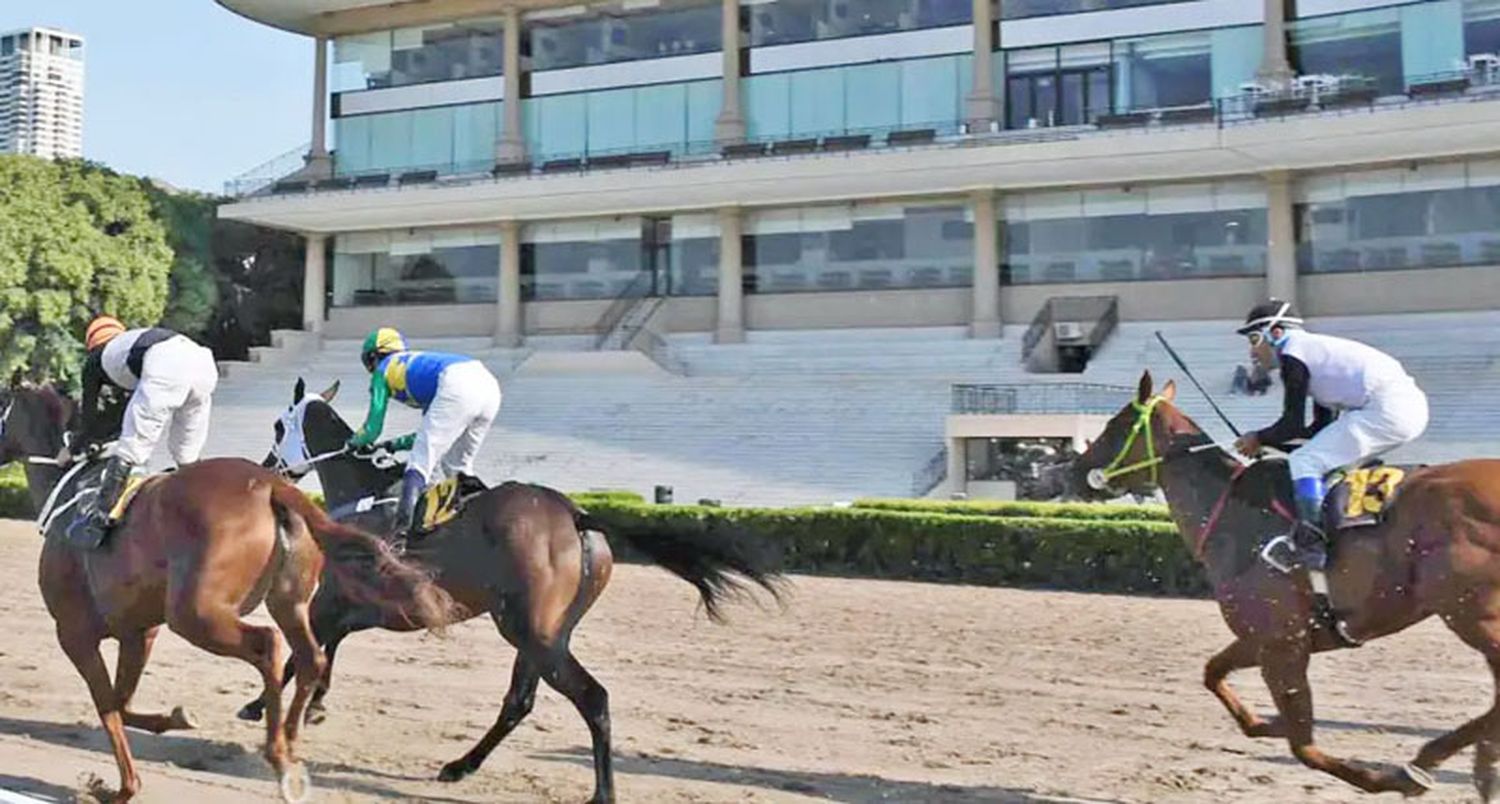 Sábado 8: Actividad Hipódromo de Palermo