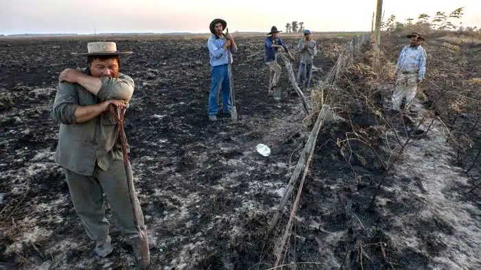 Corrientes decretó la exención  impositiva para los productores afectados