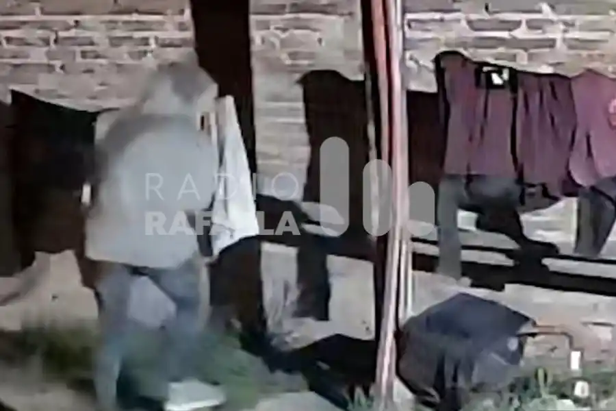 VIDEO | Quedó grabado: estaban mirando televisión, un delincuente ingresó al patio y le robó la ropa que tenían tendida