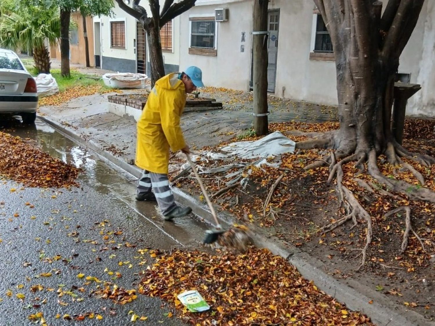 Temporal en Rosario: la Municipalidad realiza operativos y pide tomar precauciones