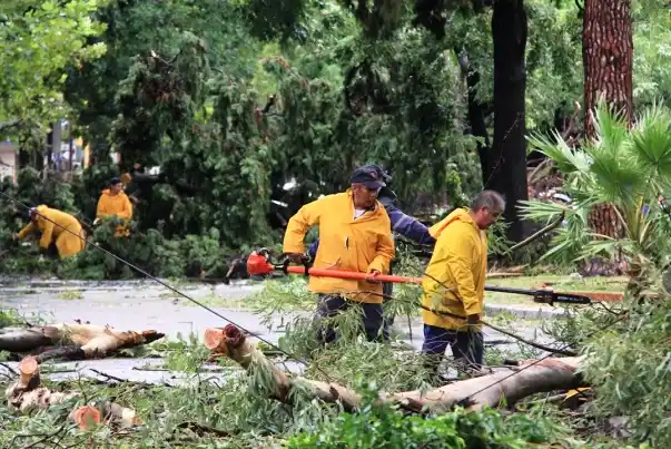 Demandará semanas retomar la normalidad tras el temporal