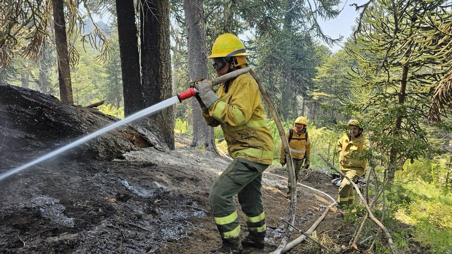 Veinte brigadistas de la provincia viajaron a Neuquén para reemplazar a sus compañeros por los incendios