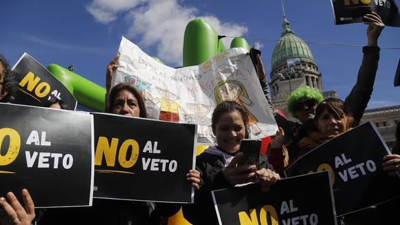 El Gobierno promulgó la Ley de Emergencia en Discapacidad, pero suspendió su aplicación