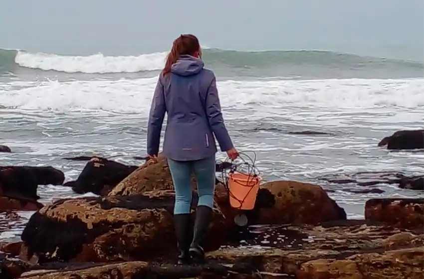 Científicas marplatenses buscan "desintoxicar" el Puerto