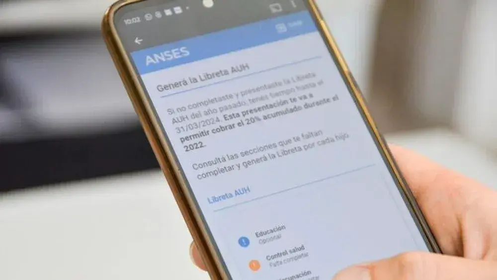 La AUH y las asignaciones familiares podrían cambiar su mecanismo de actualización