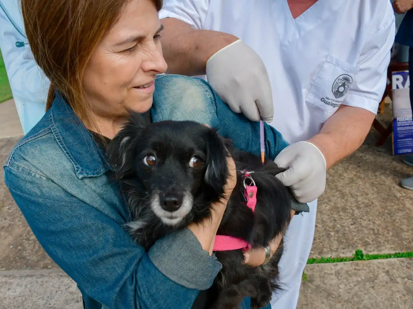 VACUNACIÓN ANTIRRÁBICA EN PLAZA SAN MARTÍN