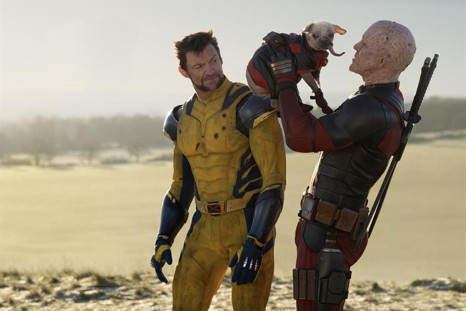 deadpool wolverine dogpool