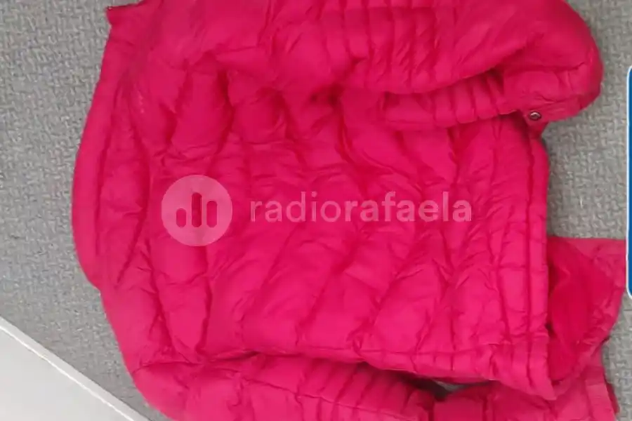 Detuvieron a un joven por intentar robar a plena luz del dia 