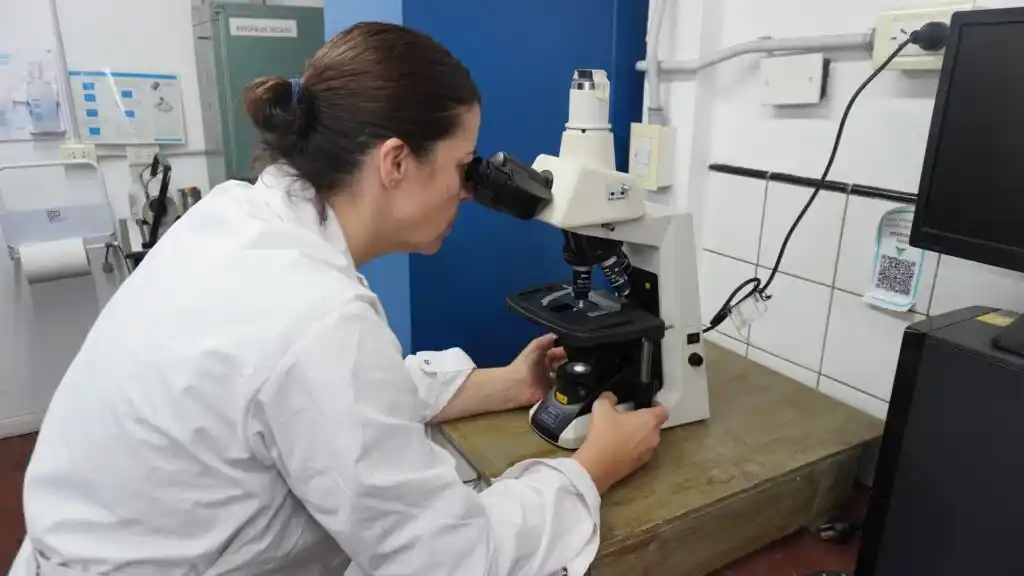La investigación está a cargo del INCITAA y asociado a la Comisión de Investigaciones Científicas de la Provincia de Buenos Aires.