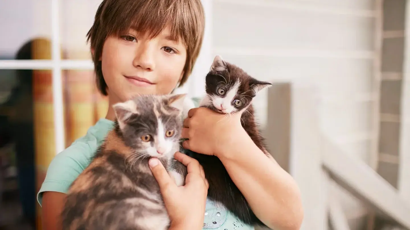 Las primeras semanas de vida pueden definir el vínculo de los gatos con las personas